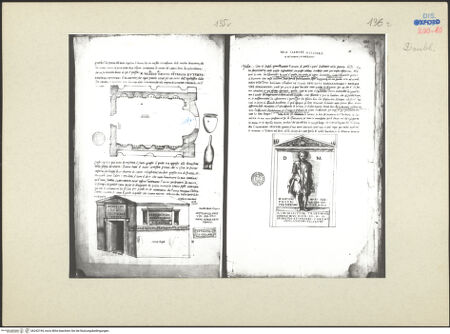 Vorderseite von bh242194_recto