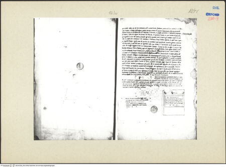 Vorderseite von bh242206_recto