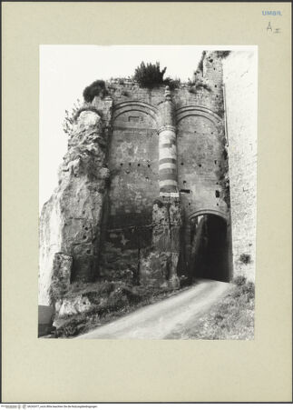 Vorderseite von bh242477_recto