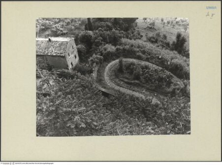 Vorderseite von bh242478_recto