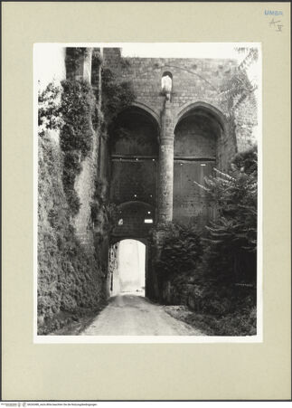 Vorderseite von bh242480_recto