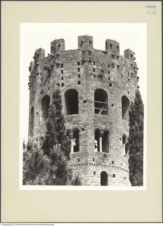 Vorderseite von bh242486_recto