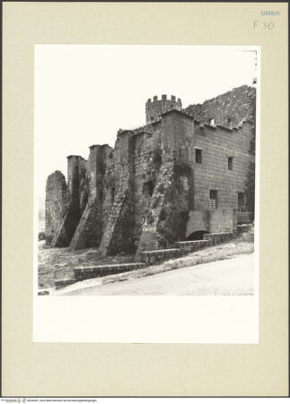 Vorderseite von bh242491_recto