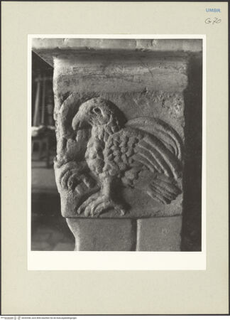 Vorderseite von bh242546_recto