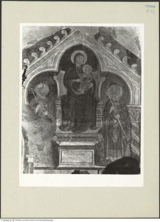 Vorderseite von bh242566_recto