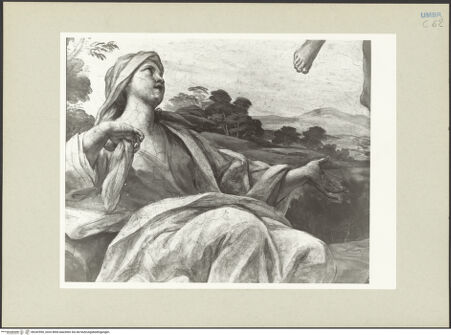 Vorderseite von bh242590_recto