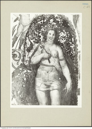 Vorderseite von bh242591_recto