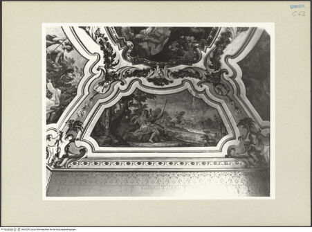 Vorderseite von bh242593_recto