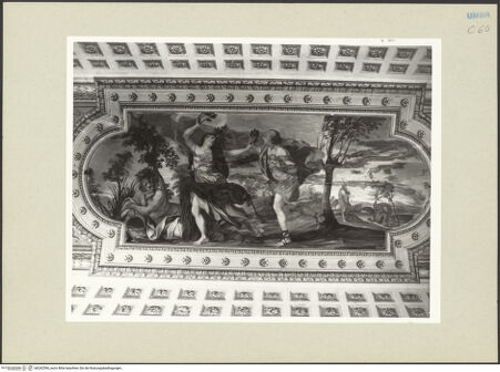 Vorderseite von bh242596_recto