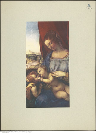 Vorderseite von bh242621_recto