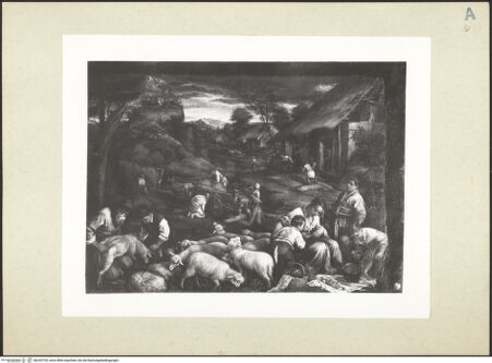 Vorderseite von bh242793_recto