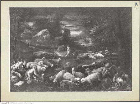 Vorderseite von bh242798_recto