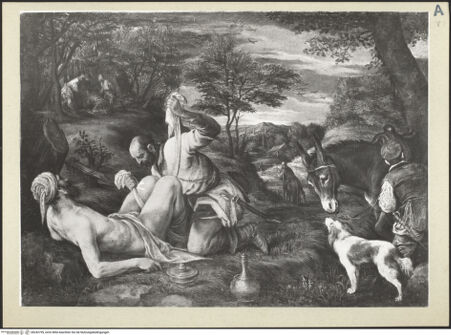 Vorderseite von bh242799_recto