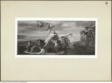 Vorderseite von bh242882_recto