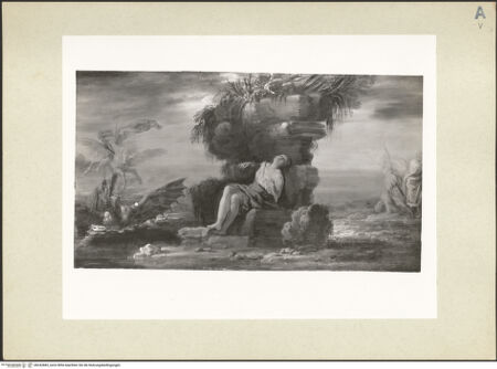 Vorderseite von bh242883_recto