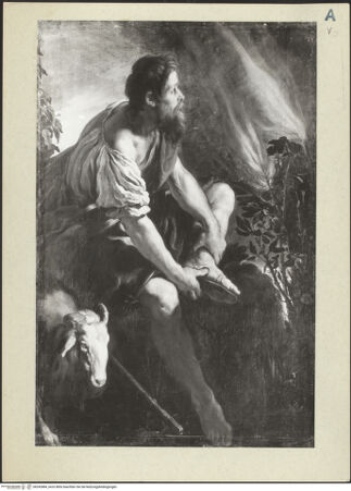 Vorderseite von bh242884_recto