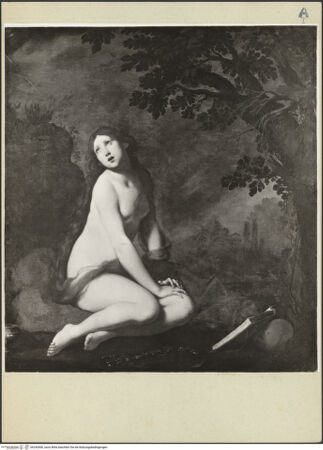 Vorderseite von bh242890_recto