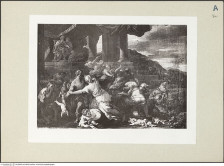 Vorderseite von bh242895_recto