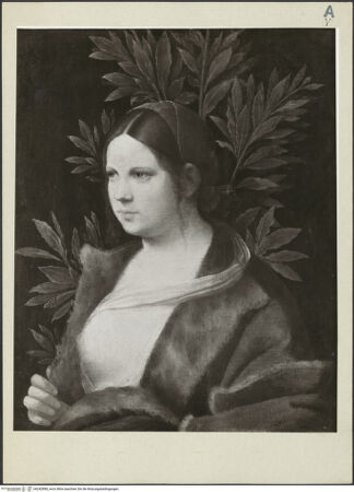 Vorderseite von bh242898_recto