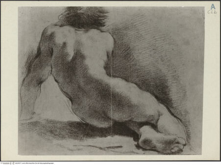 Vorderseite von bh243017_recto