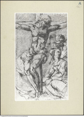 Vorderseite von bh243030_recto