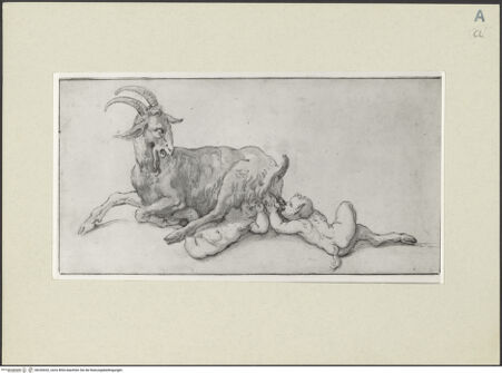 Vorderseite von bh243032_recto