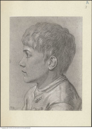 Vorderseite von bh243050_recto