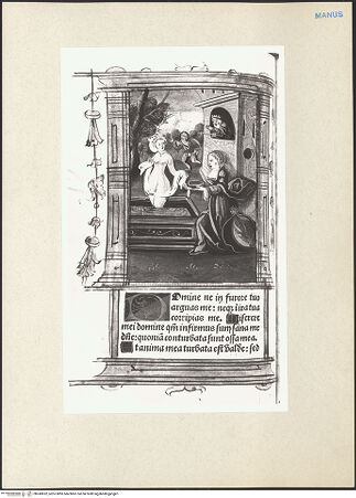 Vorderseite von bh243052_recto