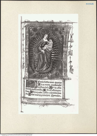 Vorderseite von bh243053_recto