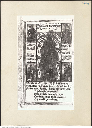 Vorderseite von bh243056_recto