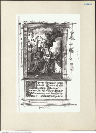 Vorderseite von bh243060_recto