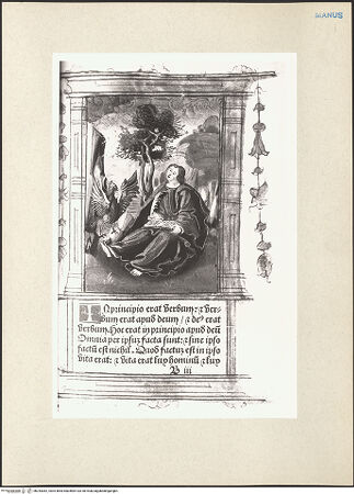 Vorderseite von bh243062_recto