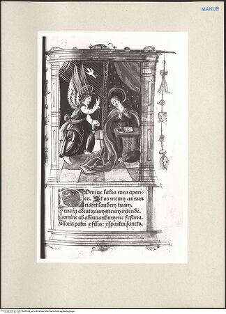 Vorderseite von bh243063_recto