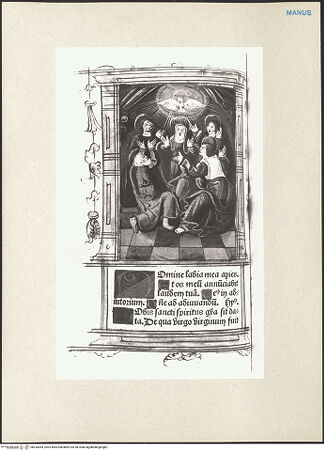 Vorderseite von bh243064_recto