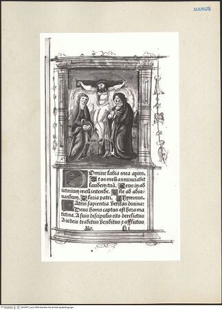 Vorderseite von bh243071_recto