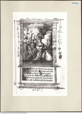 Vorderseite von bh243073_recto