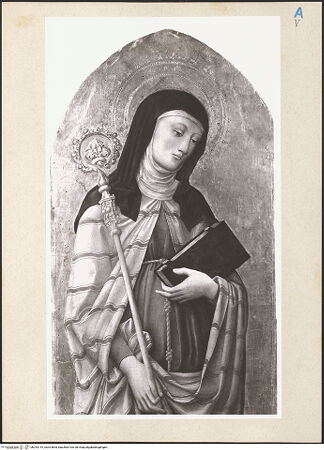 Vorderseite von bh243115_recto