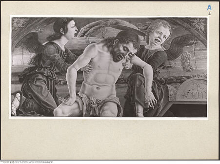 Vorderseite von bh243126_recto