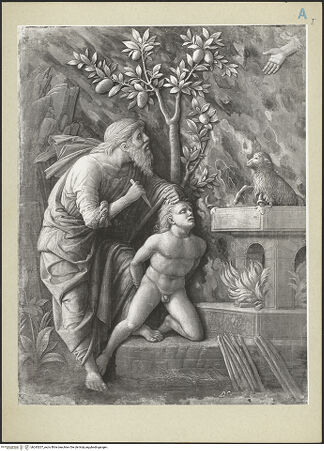 Vorderseite von bh243207_recto