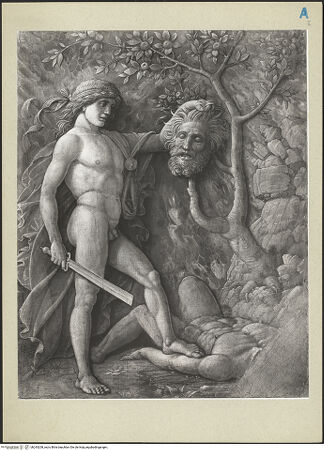 Vorderseite von bh243208_recto