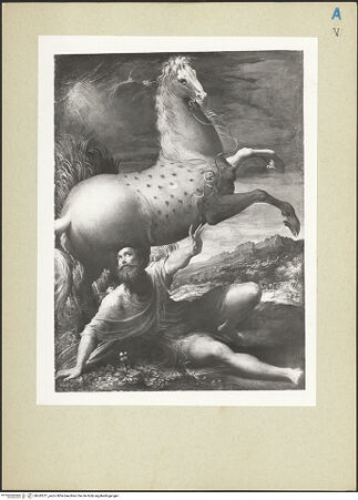 Vorderseite von bh243211_recto