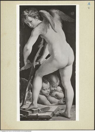 Vorderseite von bh243212_recto