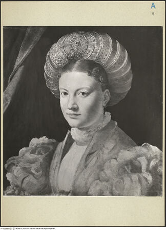 Vorderseite von bh243213_recto