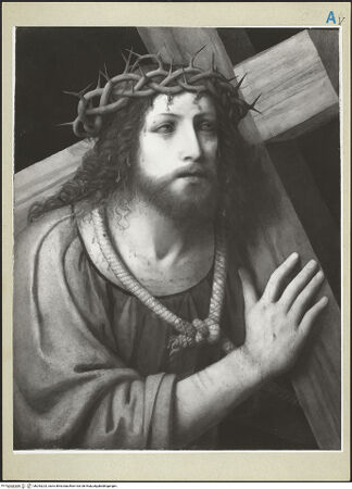 Vorderseite von bh243223_recto