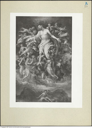 Vorderseite von bh243225_recto