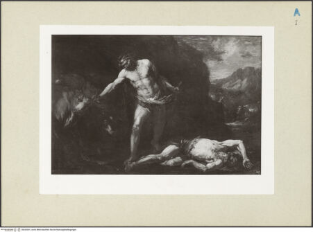 Vorderseite von bh243241_recto