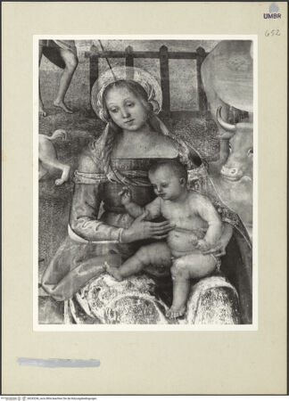 Vorderseite von bh243246_recto