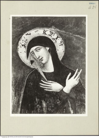 Vorderseite von bh243265_recto