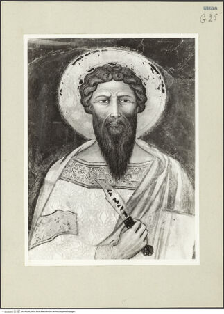 Vorderseite von bh243266_recto