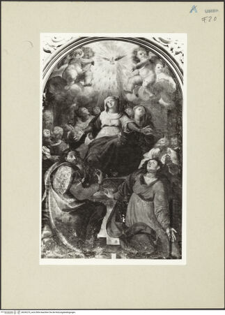 Vorderseite von bh243270_recto